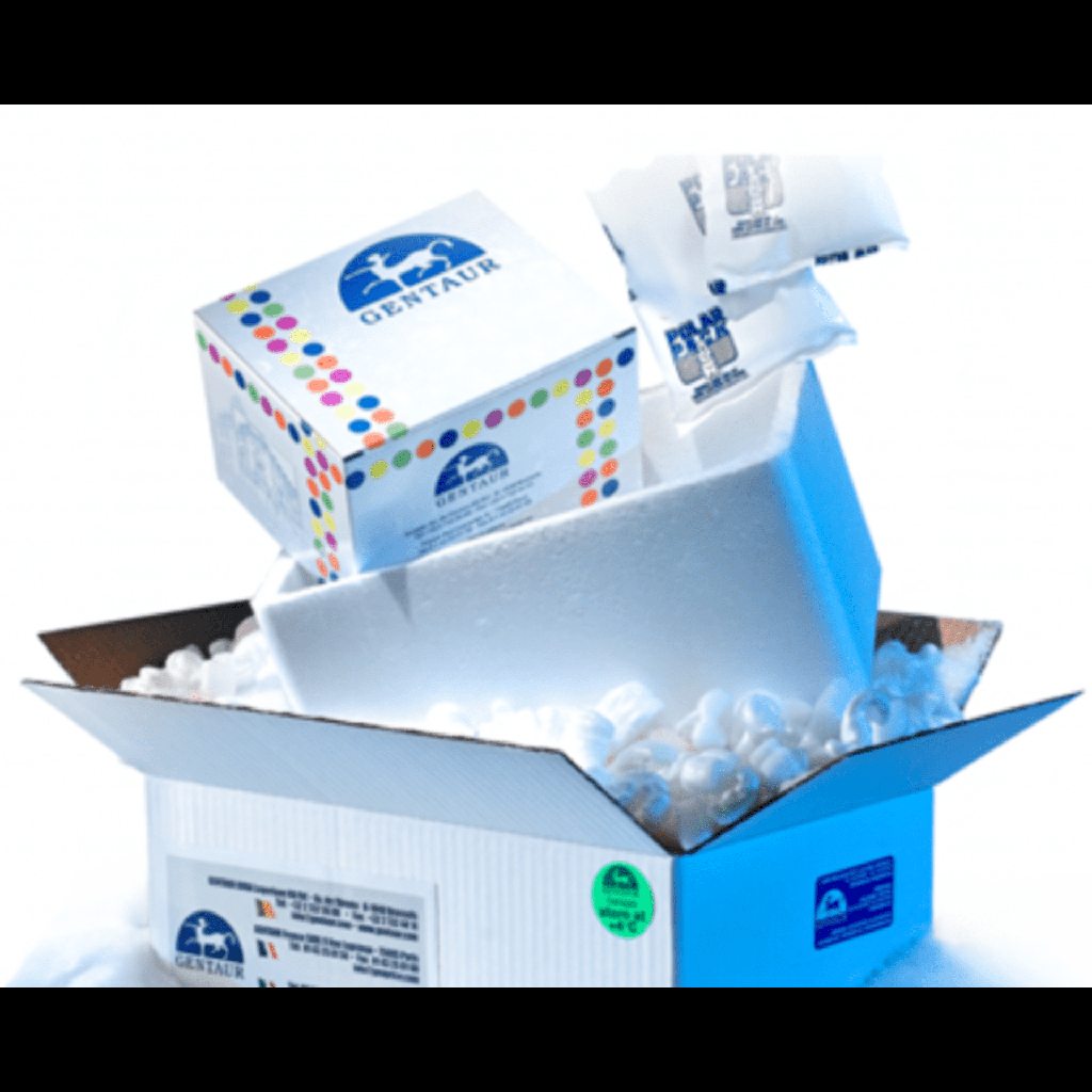 GFP+size:LUC+size:Stable Cell Linesize:SKOVsize:3  SCsize:LX013  size: 2 million cells/vial*1