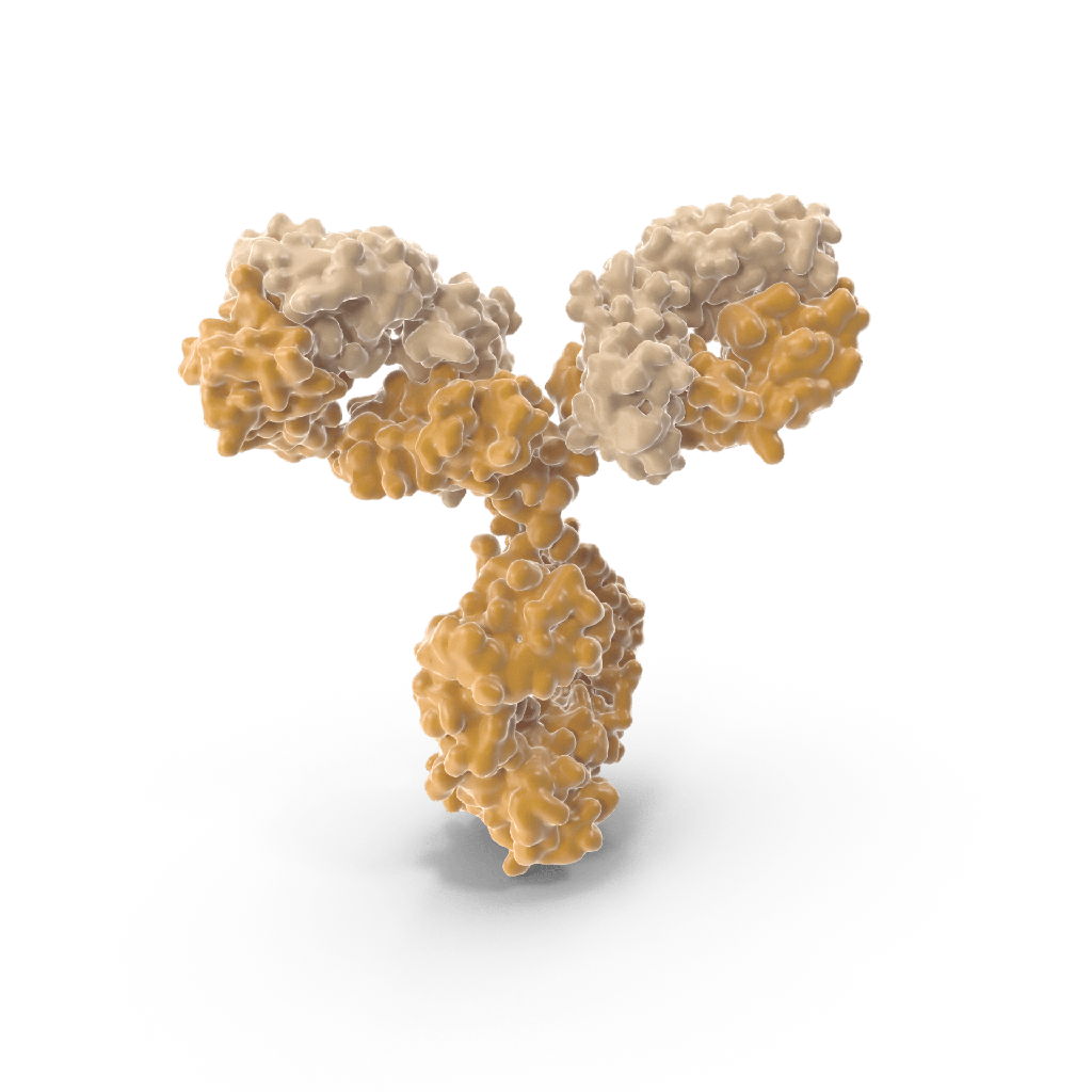 Monoclonal Antibody to Thrombin/Antithrombin Complex (TAT)