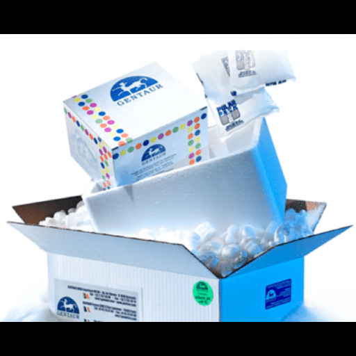 [0763-EP-CL-0668] PCsize:9 Cell Line, 1 vial, 1×10⁶ cells/vial